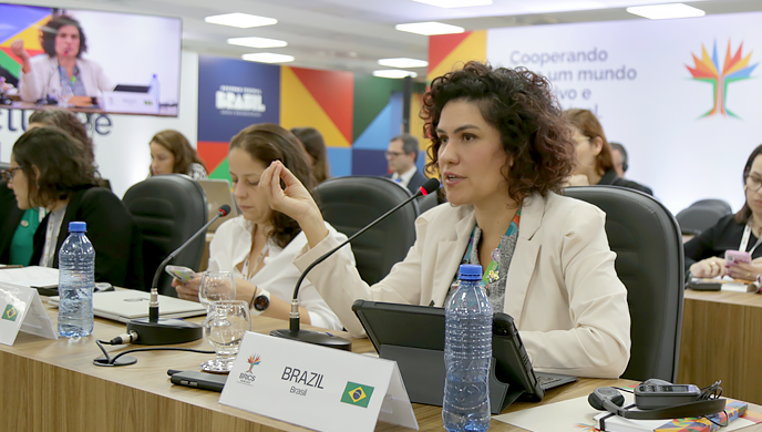 Enap apresenta iniciativas para capacitação e formação de servidores públicos a representantes dos BRICS