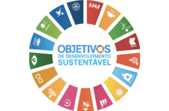 Curso Laboratório de Boas Práticas da Agenda ODS em Governo Local