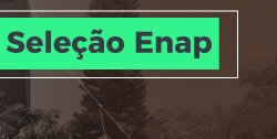Seleção-Enap.jpg