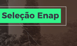 O que você quer aprender hoje? #1