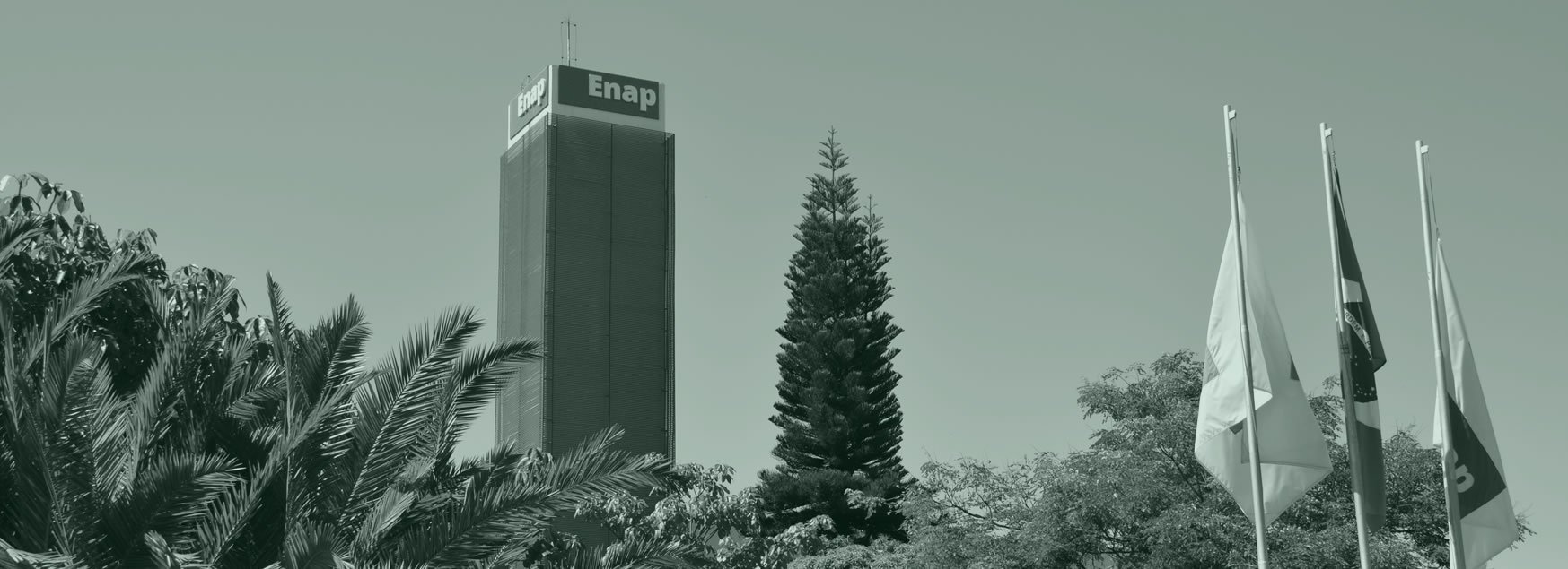 enap-verde.jpg