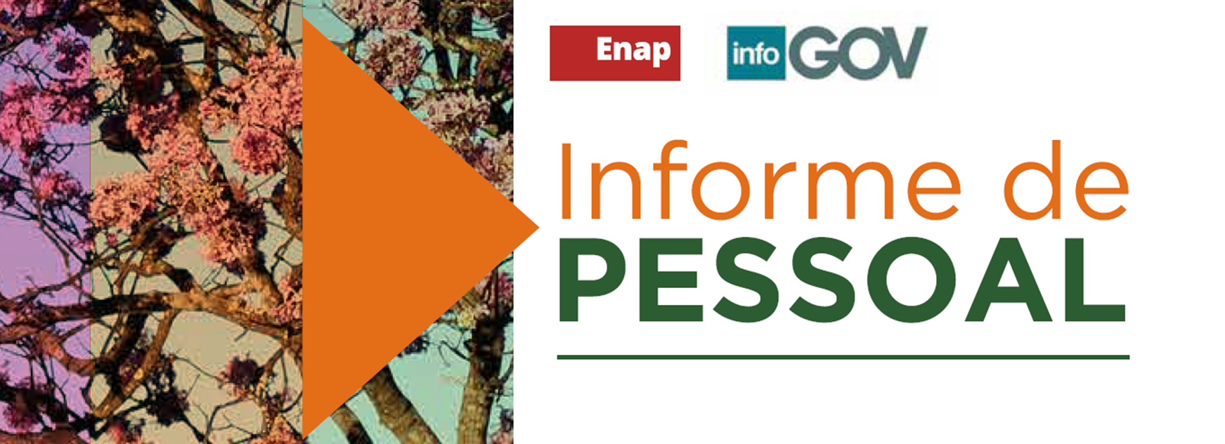 informe_de_pessoal.png