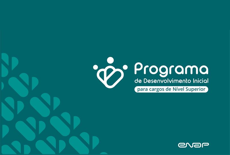 PDI para Cargos de Nível Superior