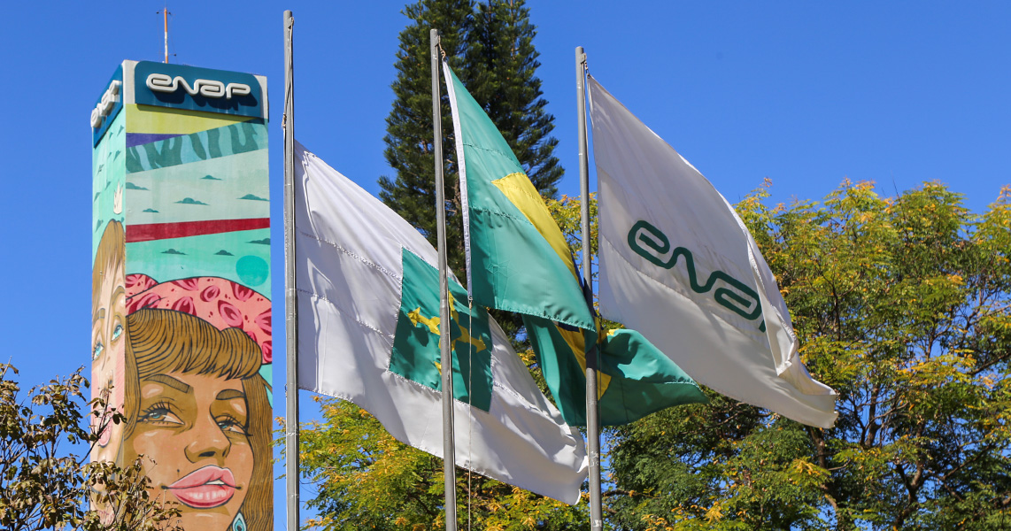 Enap completa 40 anos com a missão de transformar o futuro do serviço público