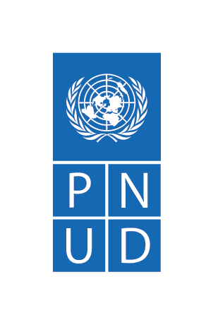 logo_PNUD_Brasil