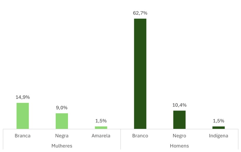 Figura 1 – Percentual de ocupação dos cargos de natureza especial por gênero e raça
