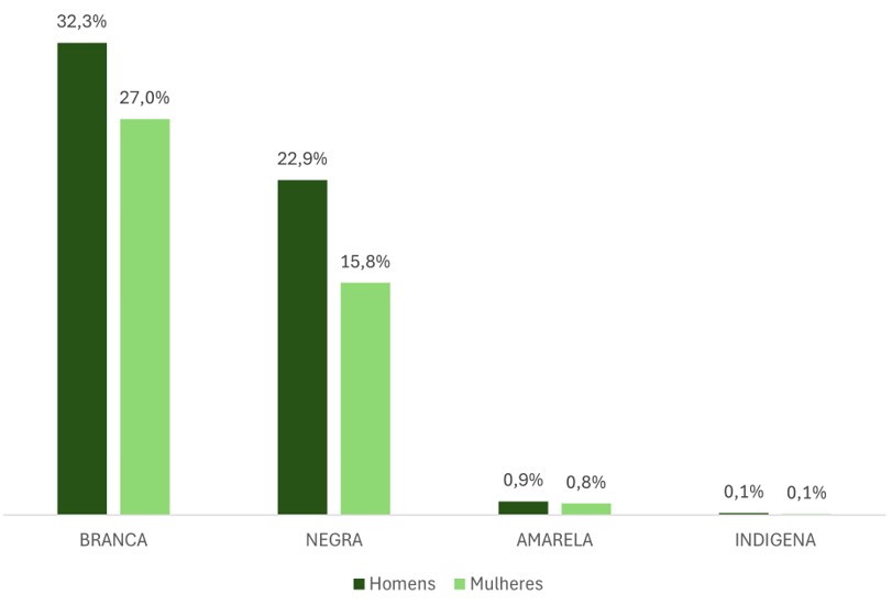 Figura 4 – Percentual de servidores concursados por gênero e raça