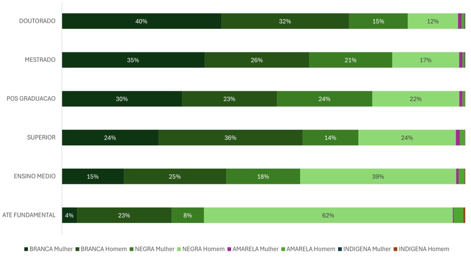 Figura 5 – Percentual de servidores por raça, gênero e escolaridade